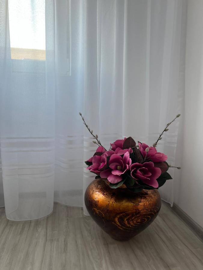 Apartament Tudor Oradea Exterior foto